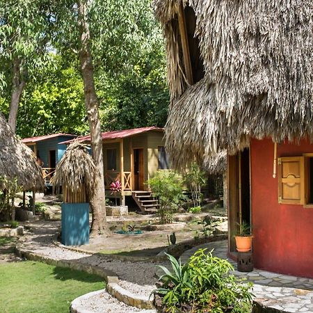 Alice Guesthouse エル・レマテ エクステリア 写真