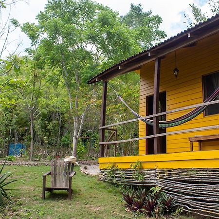 Alice Guesthouse エル・レマテ エクステリア 写真