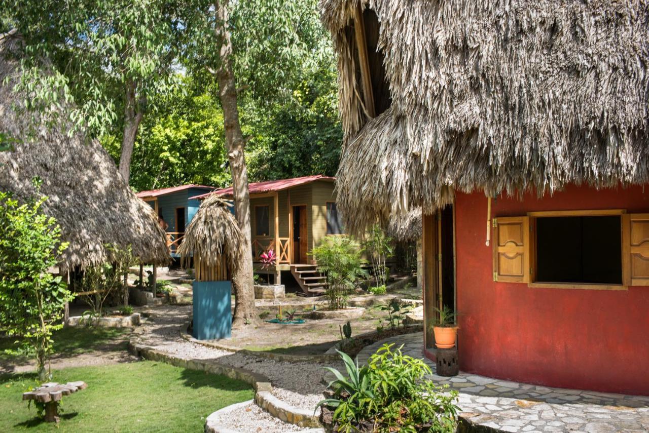 Alice Guesthouse エル・レマテ エクステリア 写真